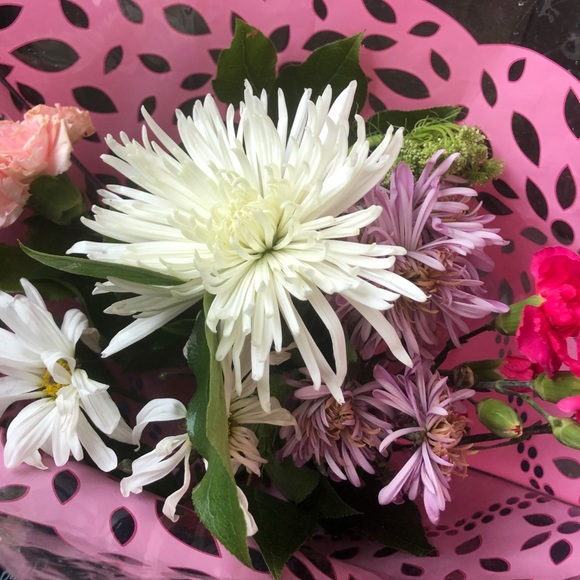 Meet your Posher, Patricia - Picture 1 of 1